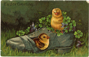 Vintage Embossed Easter Postcard Chicks in a Boot 1910s