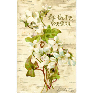 Easter Greetings Vintage Botanical Postcard Embossed 1900s
