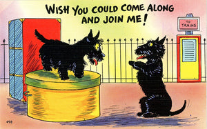 Scottish Terrier Dogs at Train Station Vintage Comic Postcard (unused) - Vintage Postcard Boutique