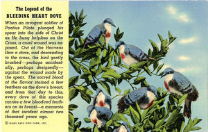 Legend of Bleeding Heart Dove Religious Vintage Postcard (unused) - Vintage Postcard Boutique