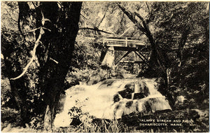 Damariscotta Maine Alwife Stream and Falls Vintage Postcard - Vintage Postcard Boutique