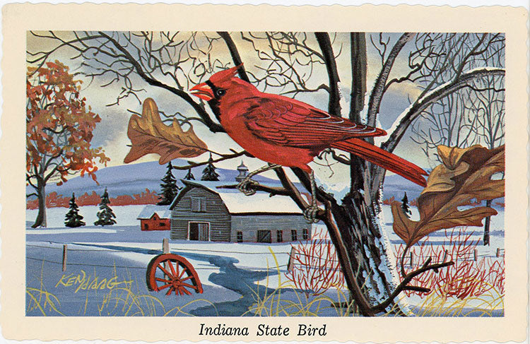 bird indiana state