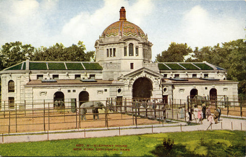 Elephant House New York Zoological Park Bronx Zoo Vintage Postcard circa 1910 (unused) - Vintage Postcard Boutique