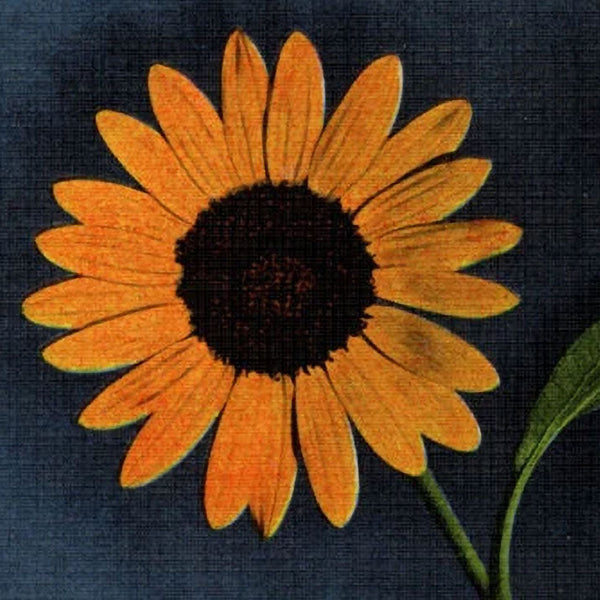 State Flowers