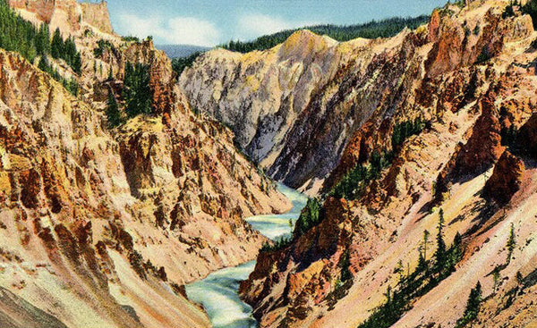 Grand Canyon Lower Falls Yellowstone National Park Wyoming Vintage Postcard (unused) - Vintage Postcard Boutique
