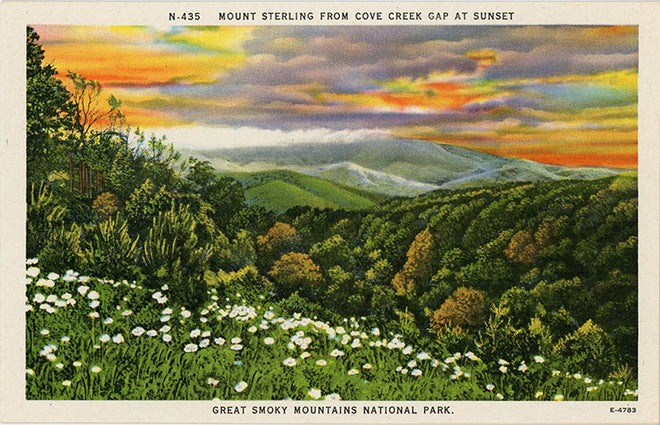 Tennessee Postcards