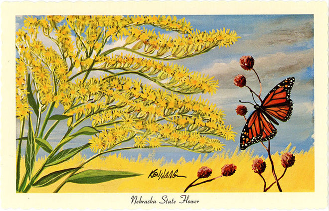 Flowers &amp; Botanical Postcards