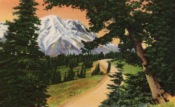 Rainier National Park