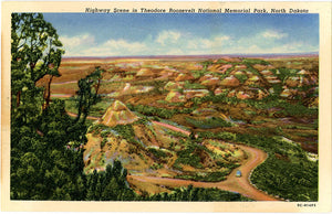 North Dakota Postcards