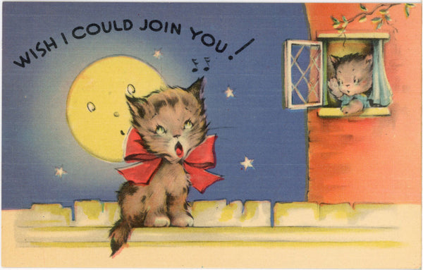 Wish I Could Join You Vintage Comic Cat Kitten Postcard c1940s (unused) - Vintage Postcard Boutique
