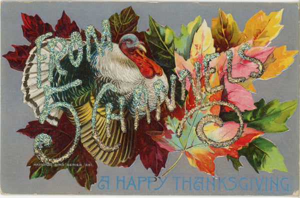 Thanksgiving Turkey National Bird Series 35 Vintage Embossed Postcard c. 1910 (unposted)
