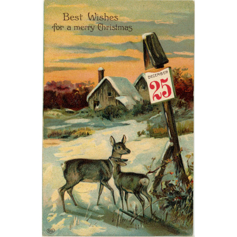 Vintage Christmas EAS Embossed Deer Snow Scene Postcard c1910