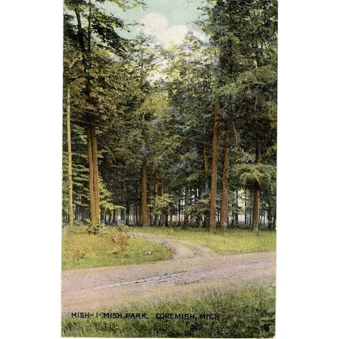Mish-I-Mish Park Coremish Michigan Vintage Postcard circa 1910