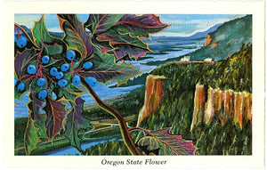 Oregon State Flower - Oregon Grape Blossom Vintage Botanical Postcard Signed Artist Ken Haag (unused)