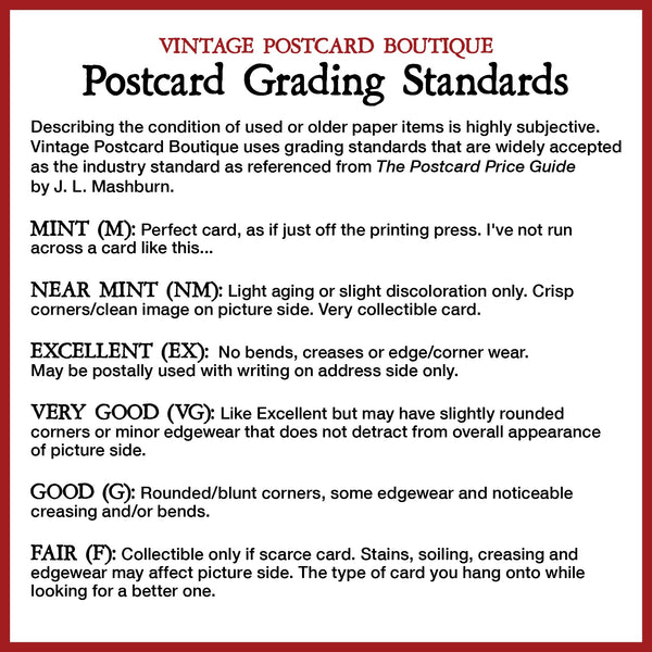 Maine Woods Deer and Fawn Vintage Postcard 1950