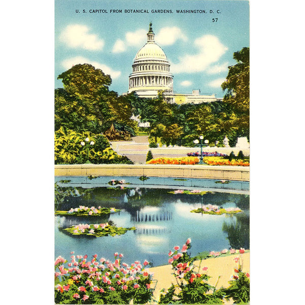 United States Capitol from Botanical Gardens Washington D.C. Vintage Postcard (unused) - Vintage Postcard Boutique