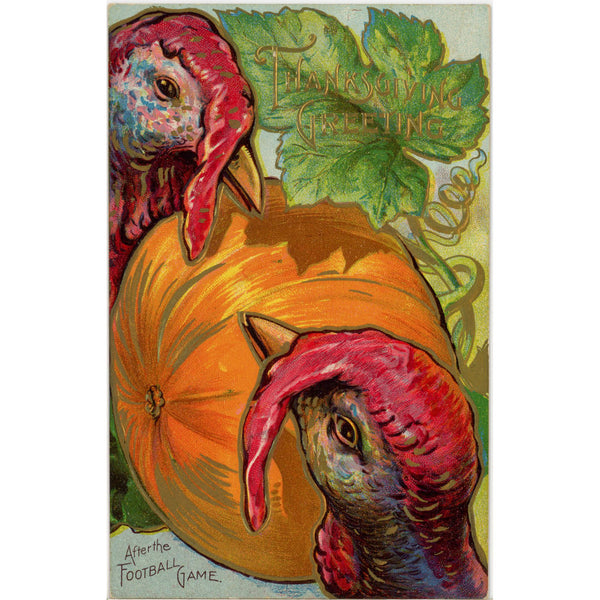 After the Football Game Turkeys Thanksgiving Series No 4 Vintage Embossed Postcard c. 1910s