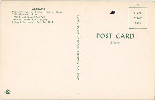 Alabama State Symbols Flower Flag Tree Bird Vintage Postcard (unposted) - Vintage Postcard Boutique