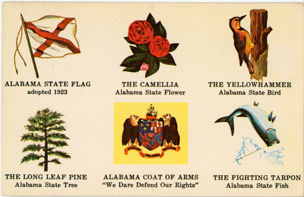 Alabama State Symbols Flower Flag Tree Bird Vintage Postcard (unposted) - Vintage Postcard Boutique