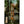Totem Pole Indian Cemetery Ketchikan Alaska Native American Vintage Postcard c 1910s