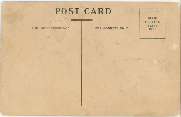Comic Dog Postcard All's Well That Ends Well c.1910s - Vintage Postcard Boutique