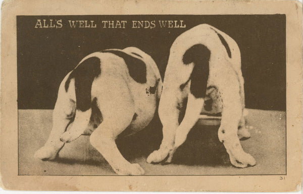 Comic Dog Postcard All's Well That Ends Well c.1910s - Vintage Postcard Boutique