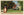 Greenville South Carolina Alta Vista Residences Vintage Postcard (unused)