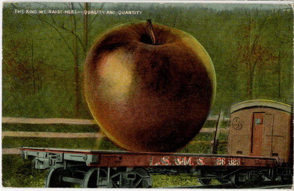 Giant Apple The Kind We Raise Here EXAGGERATION Vintage Postcard 1920