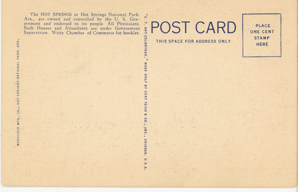 Arlington Hotel Central Avenue Hot Springs National Park Vintage Arkansas Postcard (unposted)