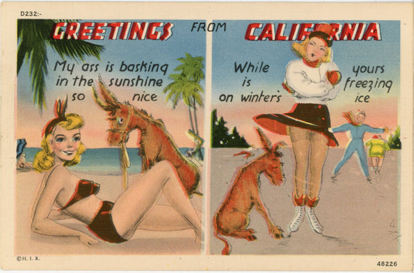 California Greetings – Ass Basking or Freezing Bathing Beauty Vintage Comic Postcard (unposted) - Vintage Postcard Boutique