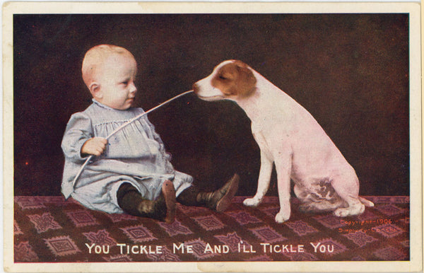 Baby & Dog You Tickle Me Vintage Postcard 1906