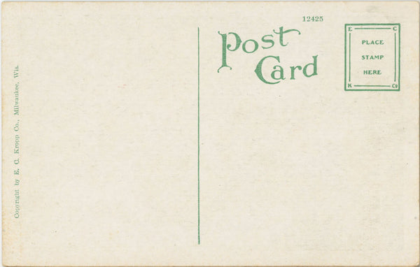Banana Blossoms & Fruit Florida Vintage Botanical Postcard 1920s (unposted)