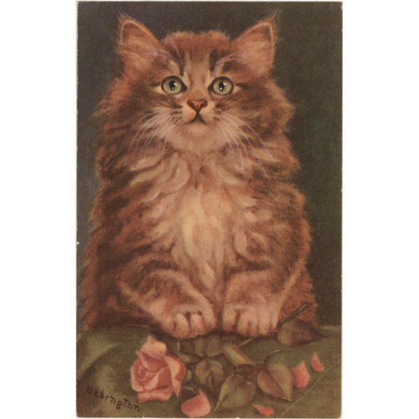 Cute Orange Kitten artist M. Babington Vintage Postcard c1910 (unused) - Vintage Postcard Boutique