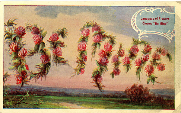 Language of Flowers Clover "Be Mine" Vintage Botanical Postcard 1909
