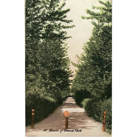 Benton Harbor Michigan House of David Park Religious Commune Vintage Postcard 1910d (unused)