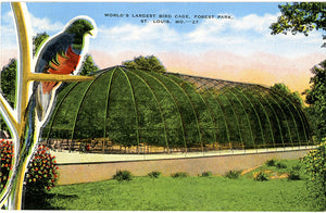 Vintage St. Louis Postcard - World's Fair Zoo Bird Cage Forest Park Missouri (unused)