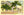 Honolulu Hawaii Bishop Street Vintage Postcard (unused) - Vintage Postcard Boutique