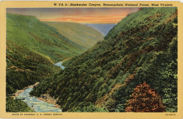 Blackwater Canyon Monogahela National Forest West Virginia Vintage Postcard (unused) - Vintage Postcard Boutique