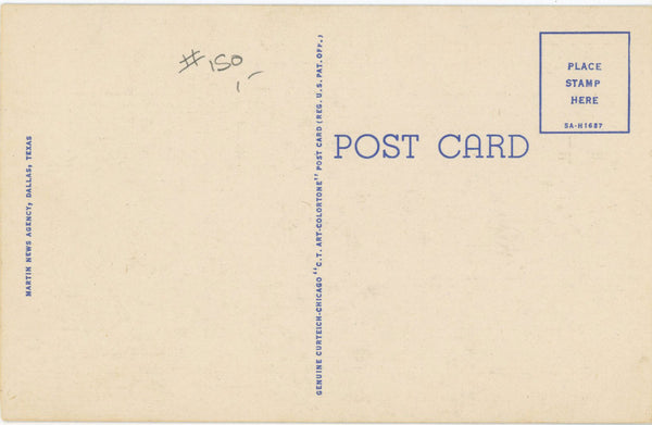 Blue Bonnets Texas State Flower Vintage Botanical Postcard (unused)