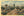 Cacti Varieties of the Southwest Desert Cactus Botanical Vintage Postcard (unused)