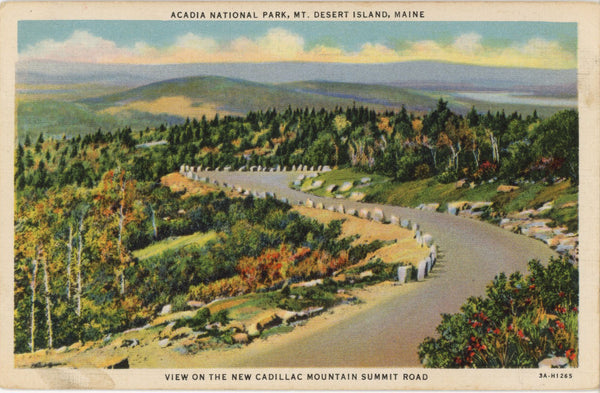 Acadia National Park Desert Island Vintage Maine Postcard (unused)