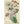 California Wild Flowers Buckwheat Vintage Botanical Postcard 1913