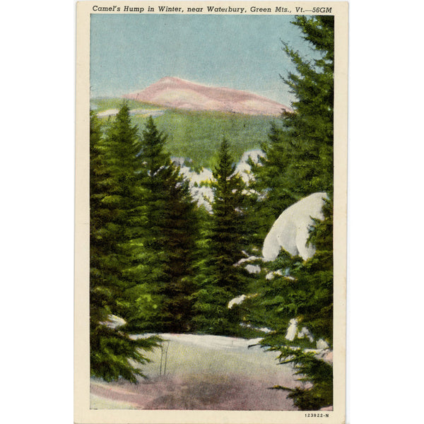 Camel's Hump in Winter Green Mountains Waterbury Vermont Vintage Postcard c. 1920 (unposted)