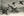 Mallard Ducks Nebraska B-29s Taking Off RPPC Vintage Bird Postcard 1946 L.L. Cooke