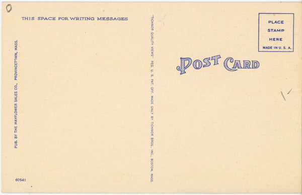 Cape Cod Neck of Land Where Necking Allowed Vintage Comic Beach Postcard (unposted)