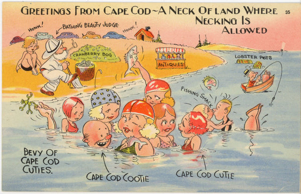 Cape Cod Neck of Land Where Necking Allowed Vintage Comic Beach Postcard (unposted)