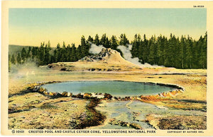 Crested Pool & Castle Geyser Cone Yellowstone National Park Wyoming Vintage Postcard (unused)