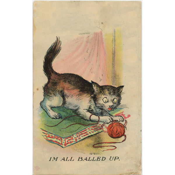 I'm All Balled Up Kitten Playing with Yarn Vintage Cat Postcard c1910s