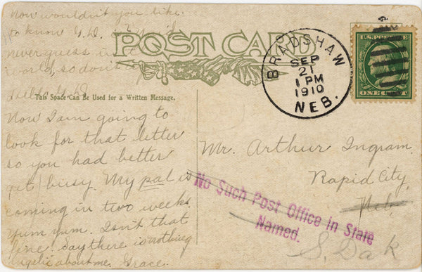 I Never Cry Over Spilled Milk Vintage Cat Comic Postcard by I Phillips 1910