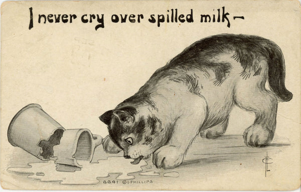 I Never Cry Over Spilled Milk Vintage Cat Comic Postcard by I Phillips 1910